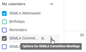 Google Calendar options